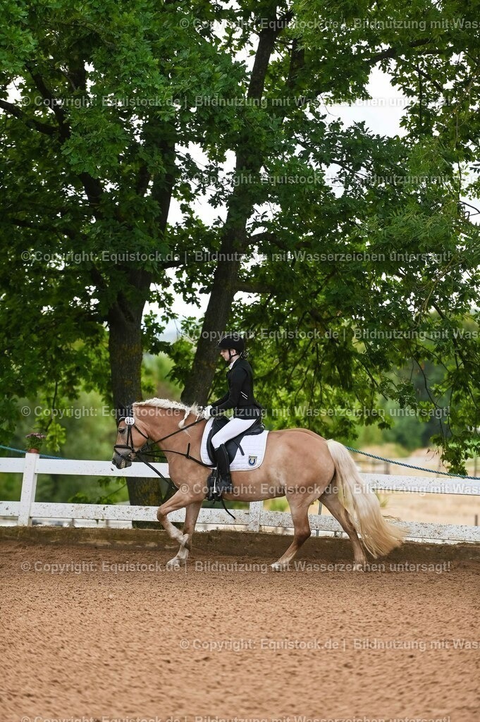 20230716_10-1_Reiter-WB Schritt - Trab - Galopp_0223 | equistock