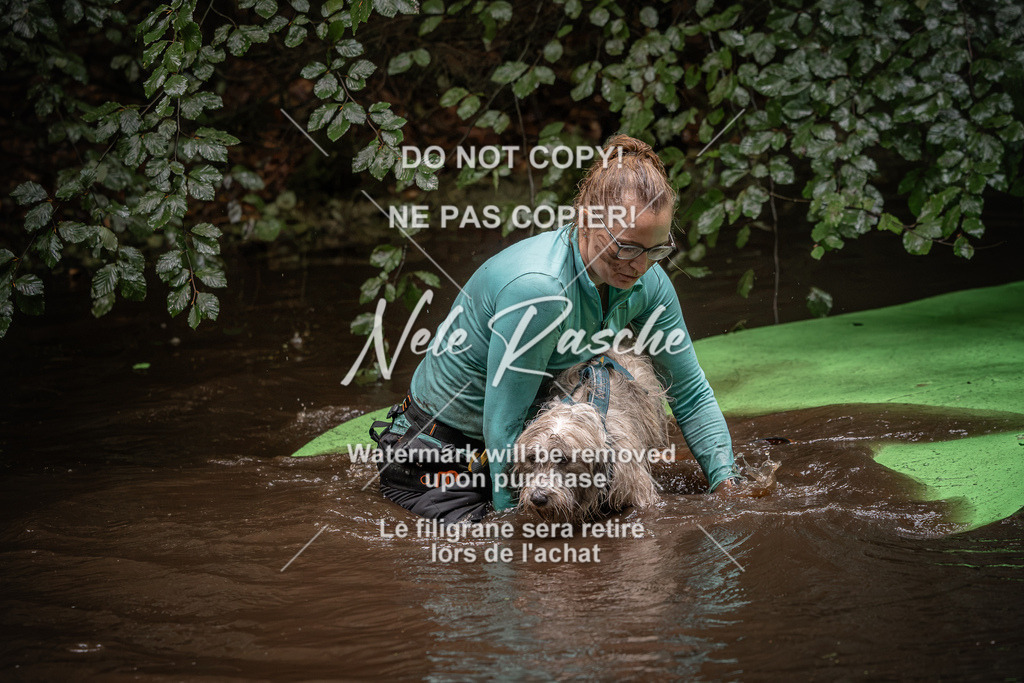 nelerasche_Wingst_Sa1330-1400_177 | nelerasche