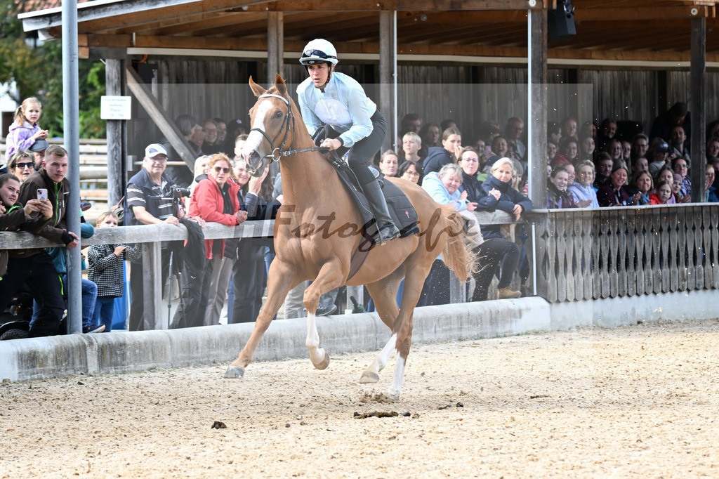 Berufsschaubild Pferdewirt_34251806 | hf-fotografie - Realizzato con Pictrs.com