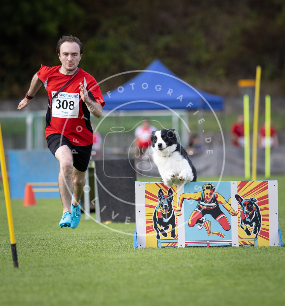 Pfotenfotografie_DV3A1663 | Hundefotografie, Tierfotograf, Pfotenfotografie, Fotoshooting Hund, Hunde Portrait, Hundesport, Hundeportraits, Heideshooting, Hunde, Sportfotograf, Hundefotograf, Turnierhundsport, THS,  - Realisiert mit Pictrs.com