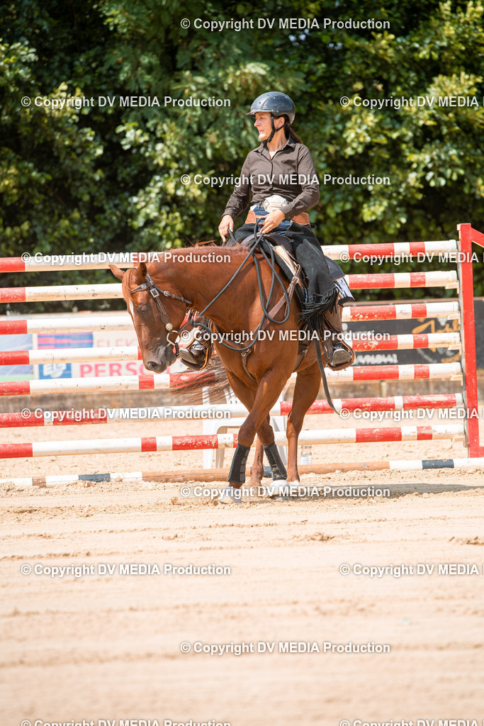 ZS2_8251 | dv-media-shop - Realisiert mit Pictrs.com