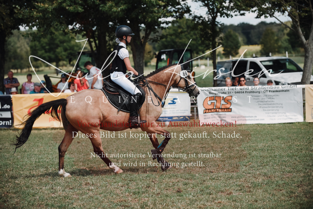 DSC_5860 | Pferde- und Turnierfotografie in Westsachsen. Pferdeportraits, Auftragszeichnungen und intuitive Kunst.