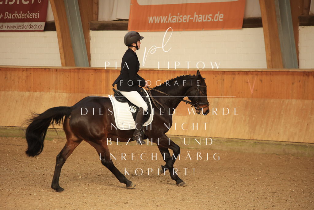 IMGT4124 | pl-fotografie