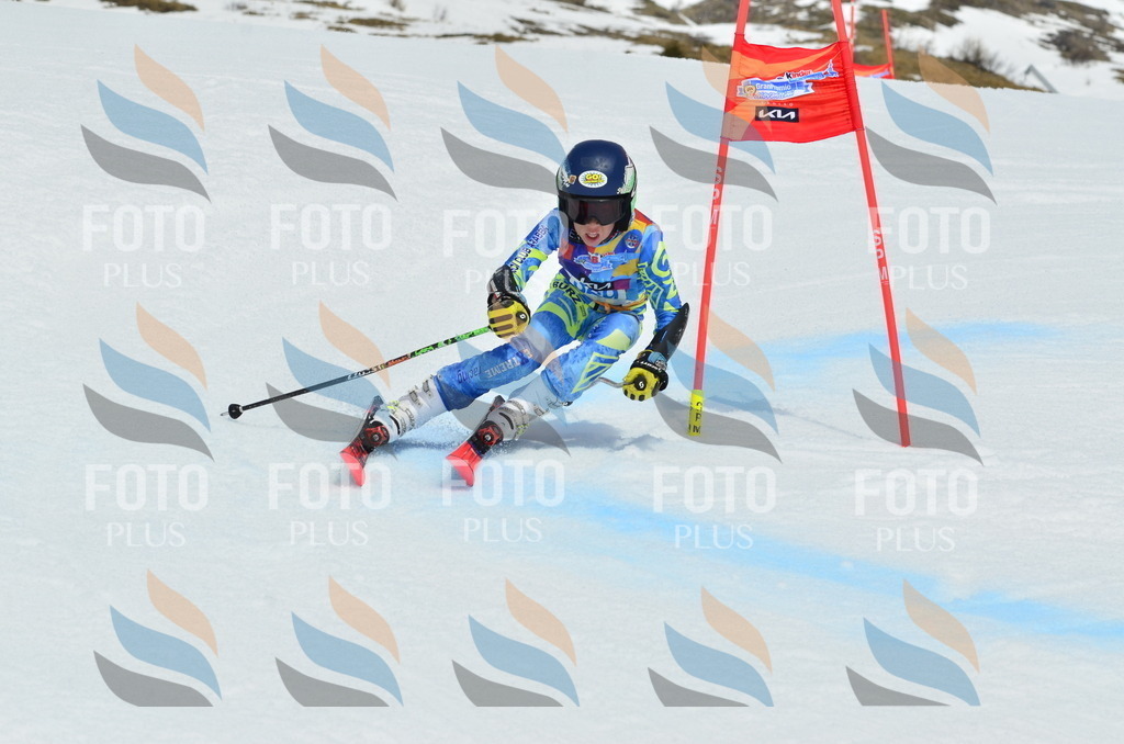 _ELE3006 | holidayphoto