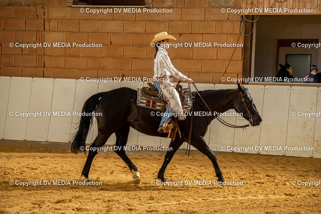 MIT00959 | dv-media-shop - Realisiert mit Pictrs.com