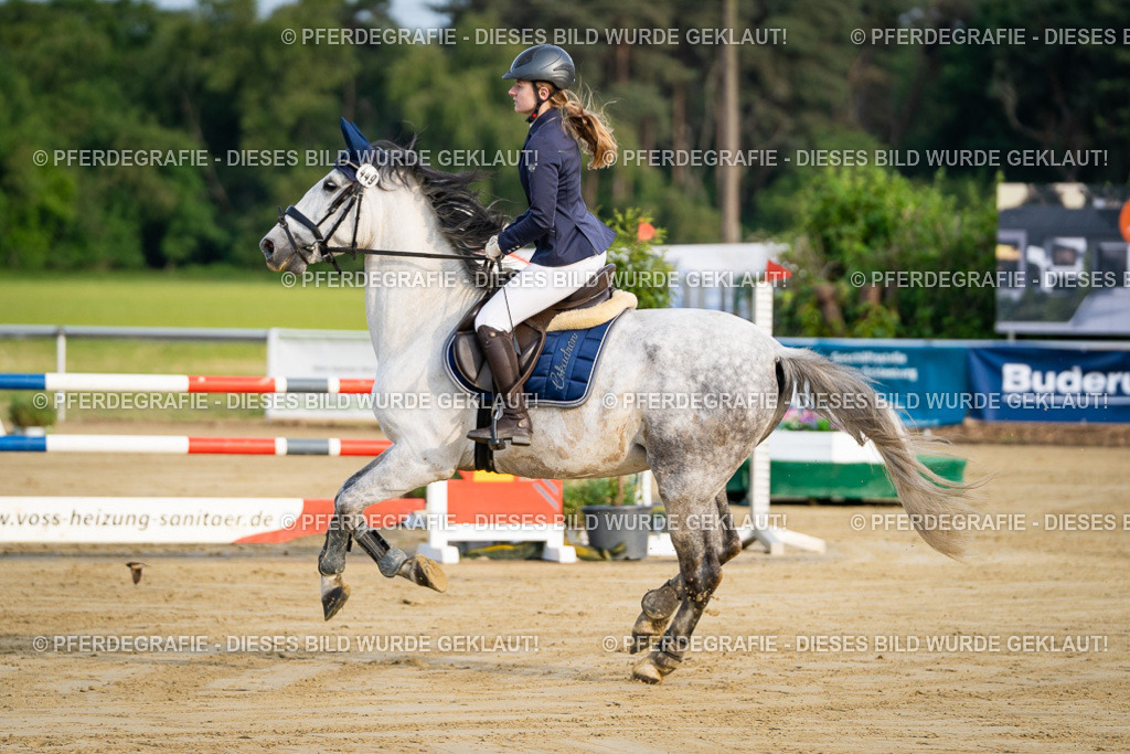 DSC01852 | Pferdegrafie