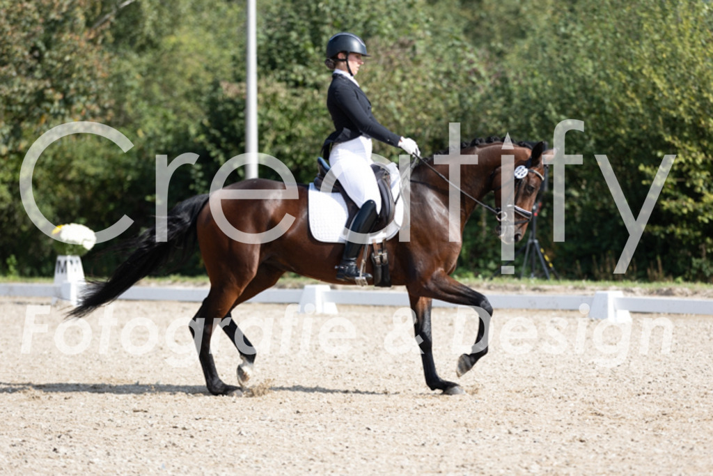 IMG_3035 | Creatify Fotografie