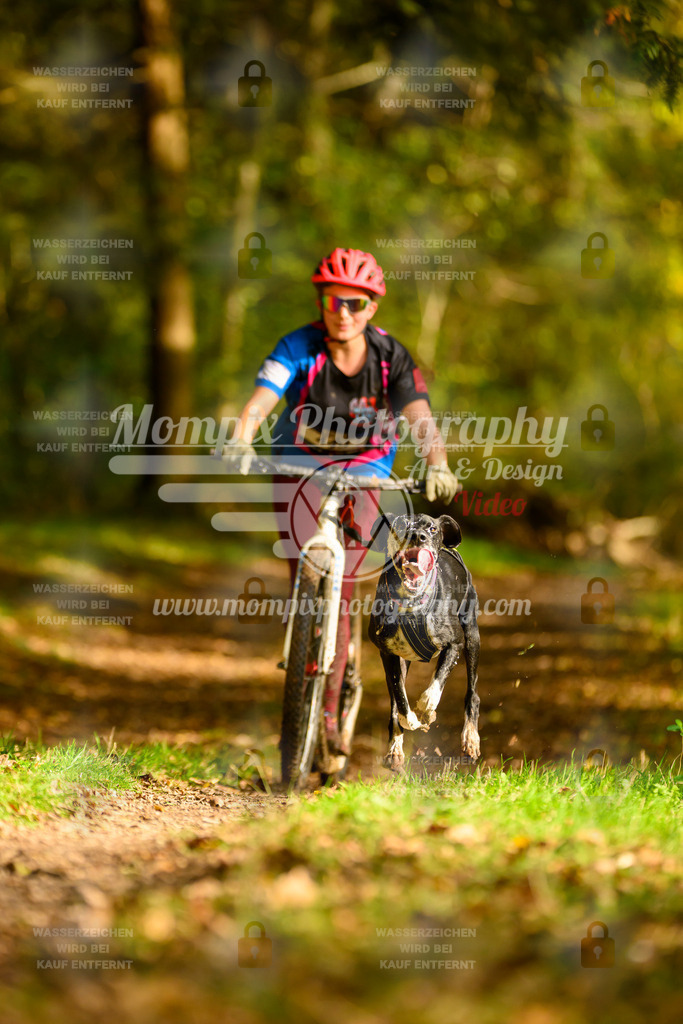 MompixPhotography_20TSB_E1_DS1-29 | PayLife