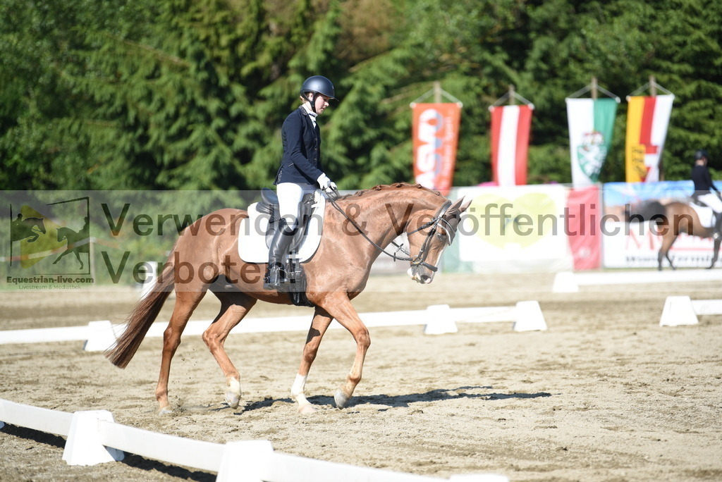 DSC_7603 | equestrian-live-com