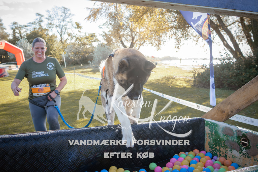 1212_ZZ95041 | kk-dogfotos