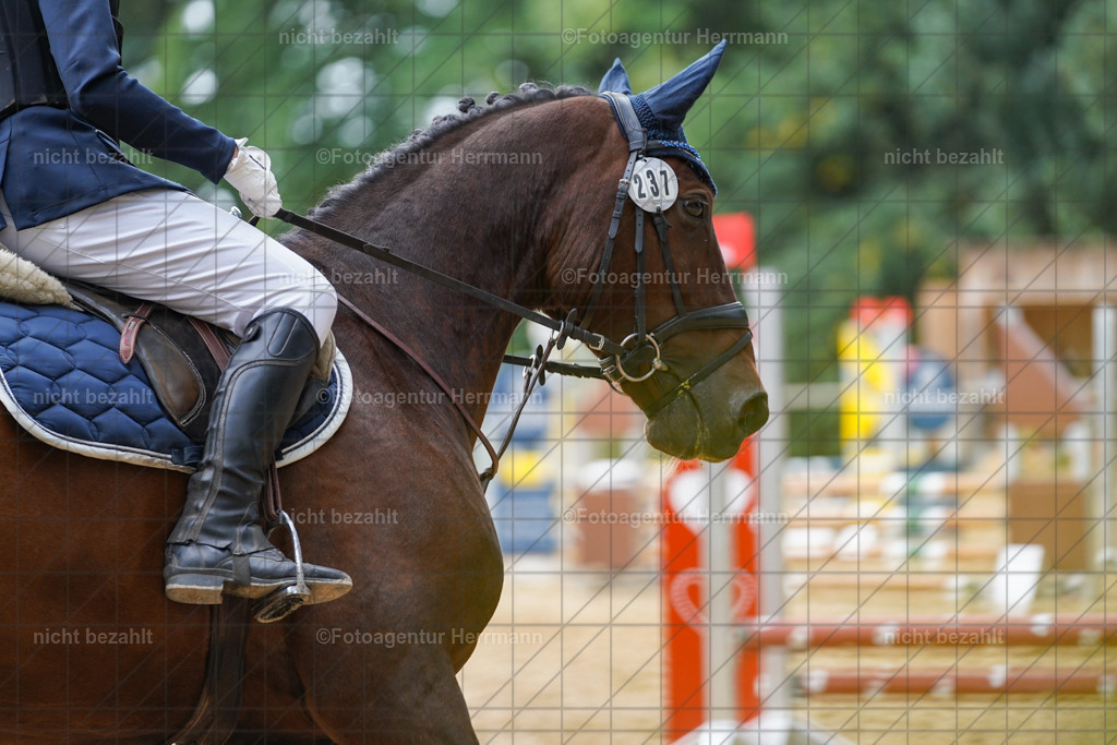 20231008-SN_01178 | Professionelle Turnier- und Reitsportfotografie - mit dem Finger am Auslöser. Pferdebilder aus dem Reitsport von den Turnierfotografen  Bayern , Pferdefotograf Bayern, Pferdeshooting Turnierbilder, Hochzeitsfotograf, Eventfotograf, Hochzeitsbilder