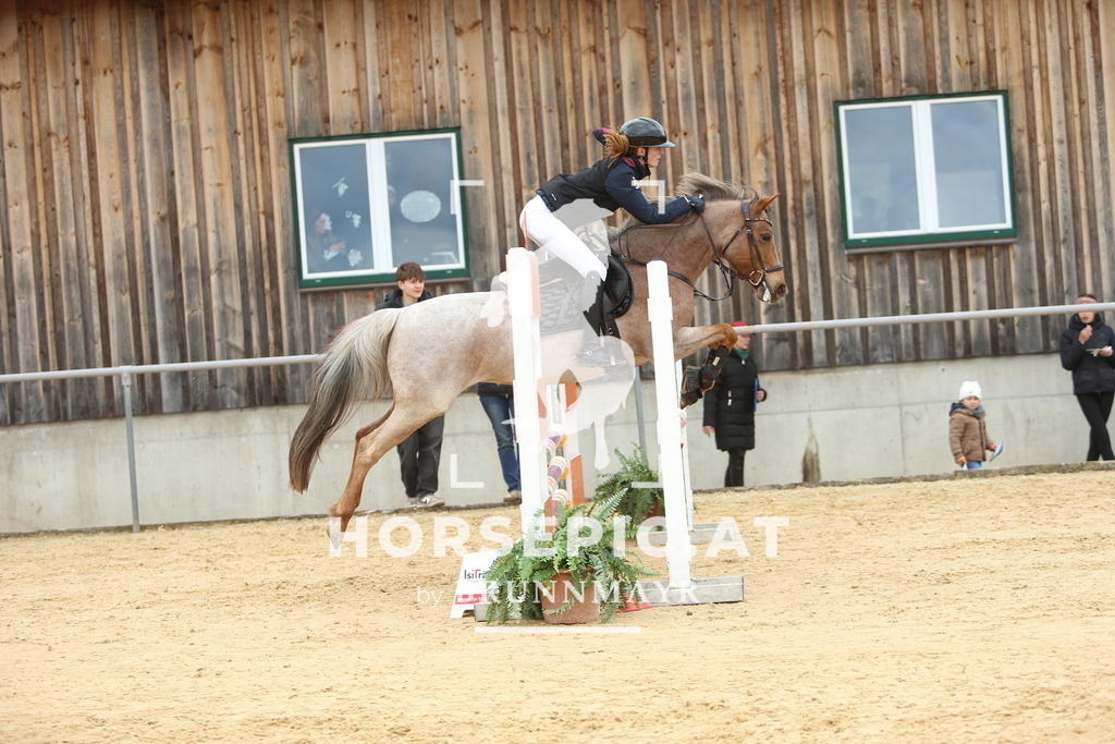 DL2Q1902 | Willkommen bei Brunnmayr - Design & Fotografie – Ihrem Spezialisten für Reitturniere und Pferdeveranstaltungen in Oberösterreich, Salzburg und Bayern! Seit über 17 Jahren sind wir leidenschaftlich dabei.