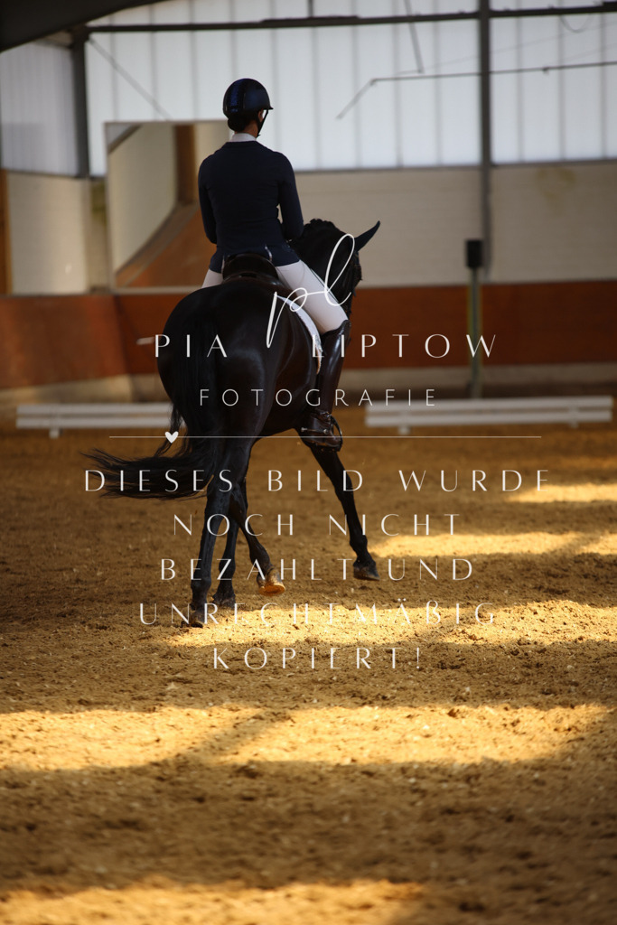 IMGT8600 | pl-fotografie