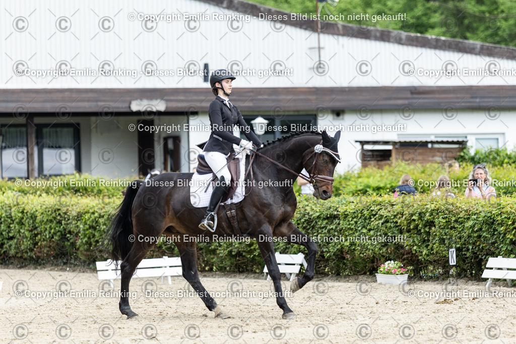 CL5A4681-2 | Emilia Reinking Fotografie - Realisiert mit Pictrs.com