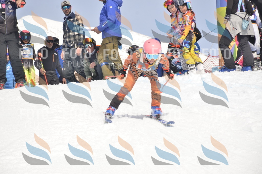 _ELE8924 | holidayphoto