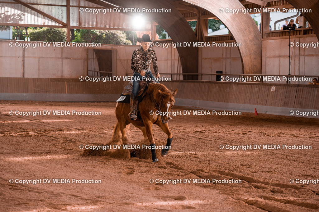 NE201213 | dv-media-shop - Realisiert mit Pictrs.com