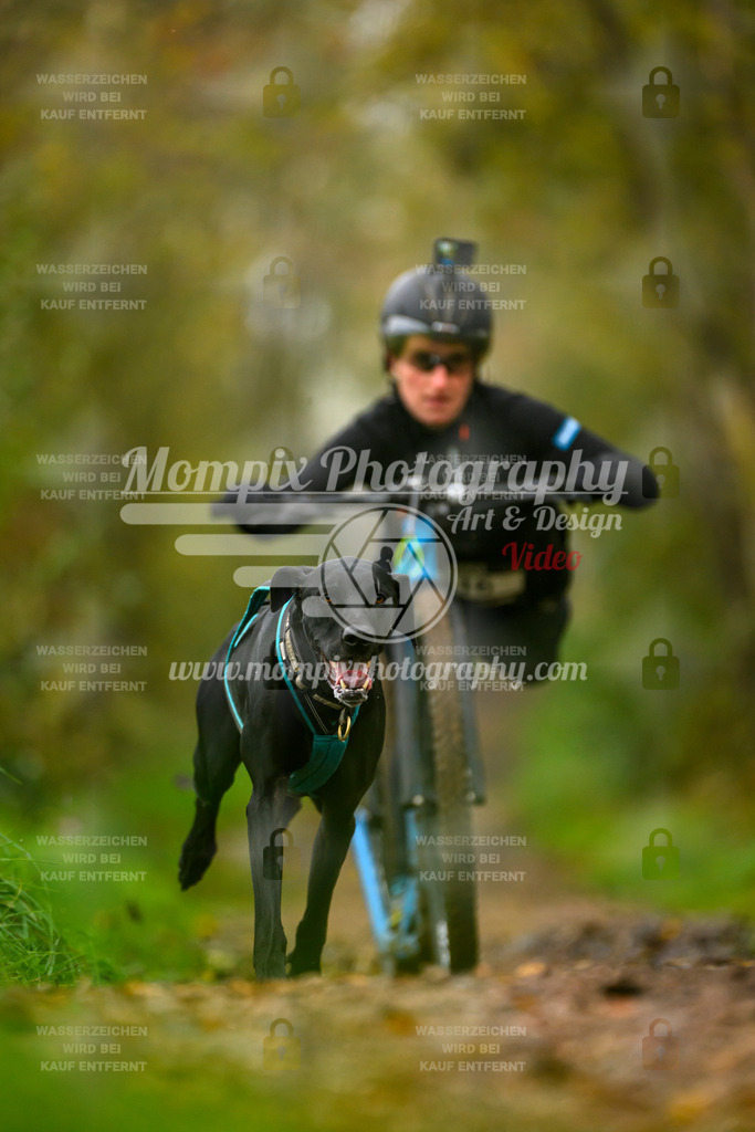 MompixPhotography_20TSB_E6_DS1-7 | PayLife