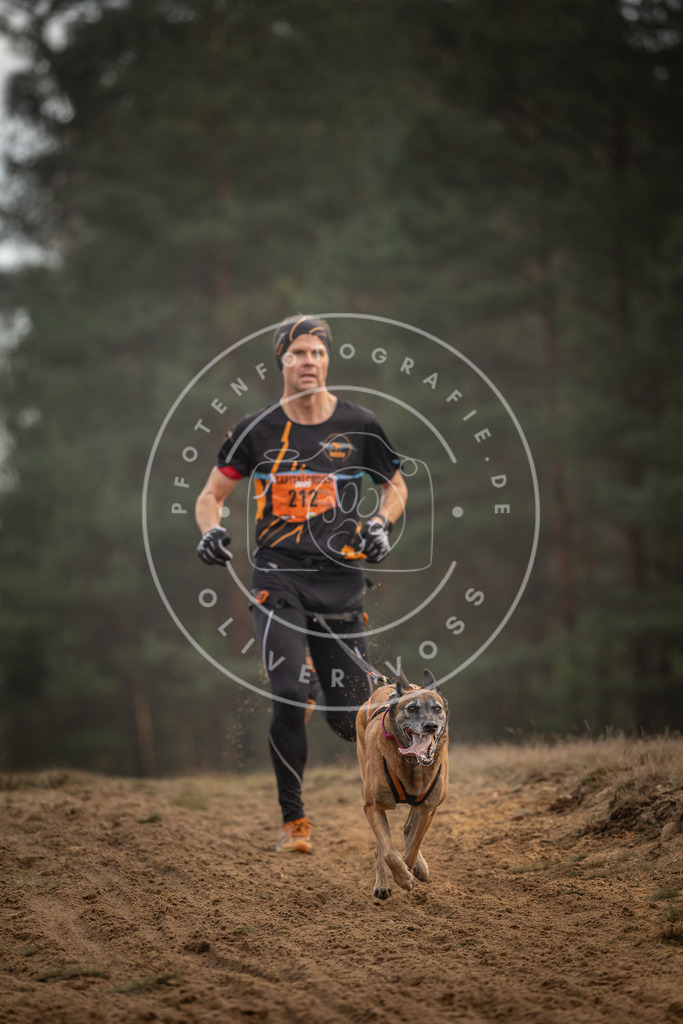 Pfotenfotografie_DV3A5195 | Hundefotografie, Tierfotograf, Pfotenfotografie, Fotoshooting Hund, Hunde Portrait, Hundesport, Hundeportraits, Heideshooting, Hunde, Sportfotograf, Hundefotograf, Turnierhundsport, THS,  - Realisiert mit Pictrs.com