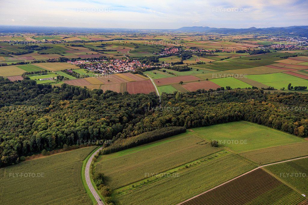 Luftbild: Verlauf der L544 durch den Wald bei Barbelroth im Ortsteil Ingenheim in Billigheim-Ingenheim im Bundesland Rheinland-Pfalz in Deutschland. Foto: IMG_072551.jpg vom 19.09.2014 durch Werner Riehm/FLY-FOTO.de