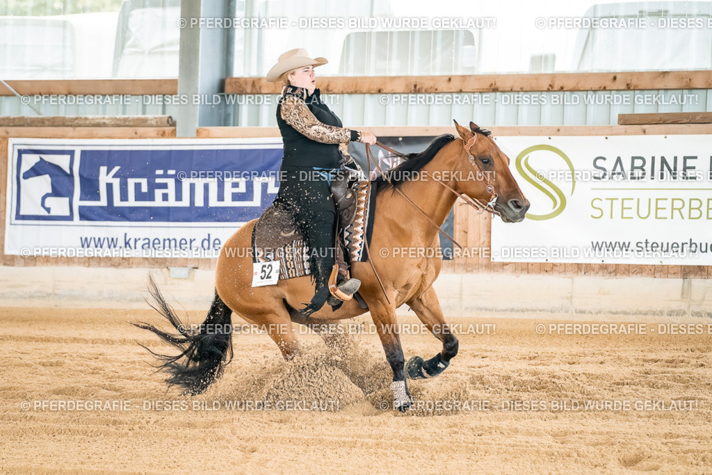 DSC03086 | Pferdegrafie