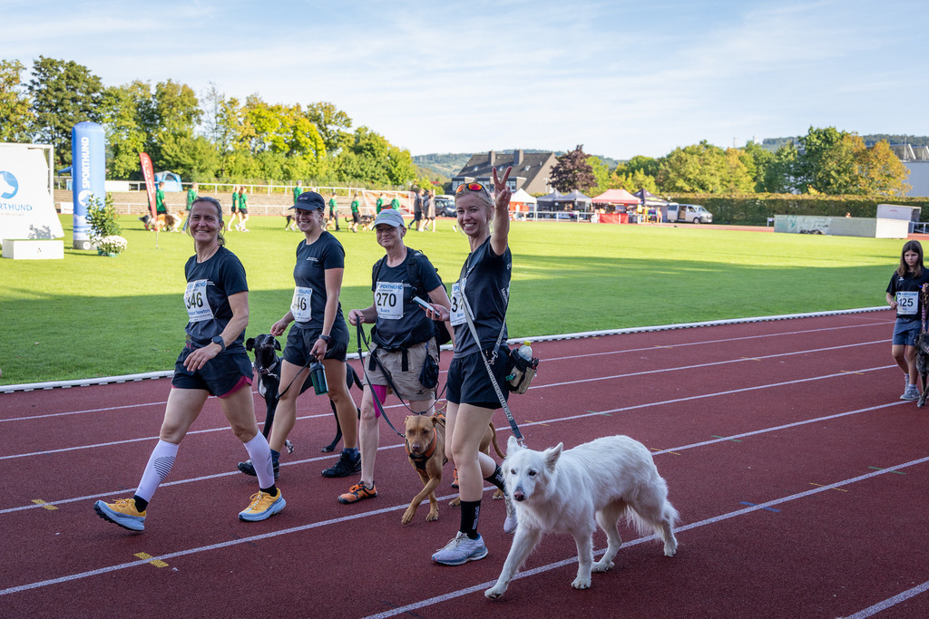Pfotenfotografie_DV3A4250-2 | Hundefotografie, Tierfotograf, Pfotenfotografie, Fotoshooting Hund, Hunde Portrait, Hundesport, Hundeportraits, Heideshooting, Hunde, Sportfotograf, Hundefotograf, Turnierhundsport, THS,  - Realisiert mit Pictrs.com
