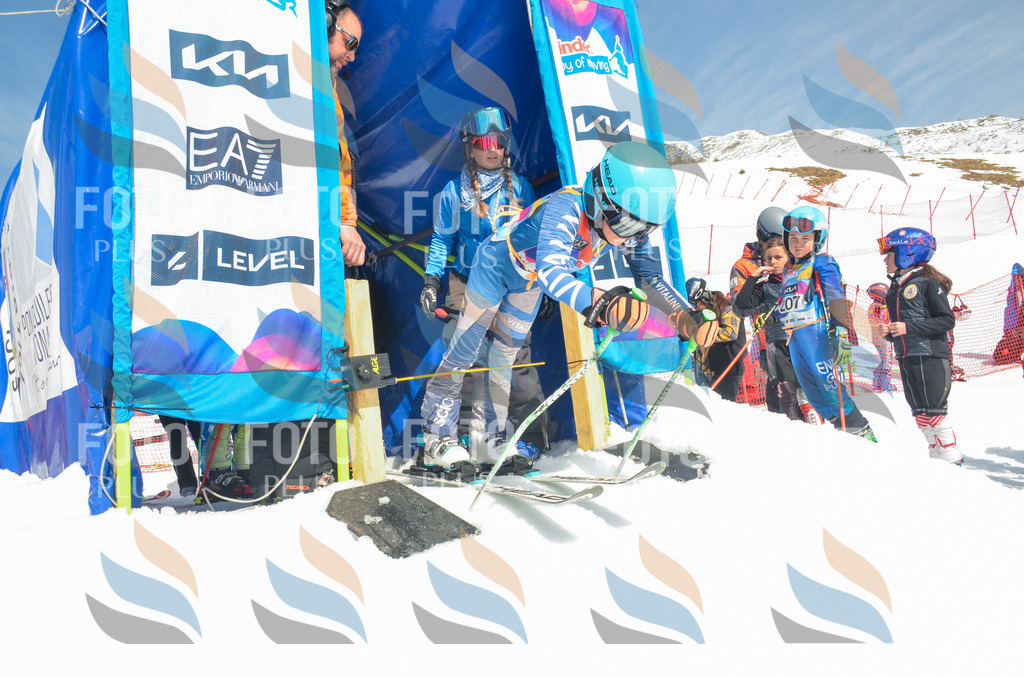 _ELE6460 | holidayphoto