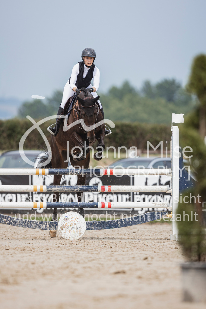 240627_LüPfSpTa_SprPf-L-132 | Deine schönsten Turniermomente als professionelle Fotos! Entdecke hochwertige Pferdesport-Fotografie im Online-Shop. Jetzt Fotos finden & bestellen!