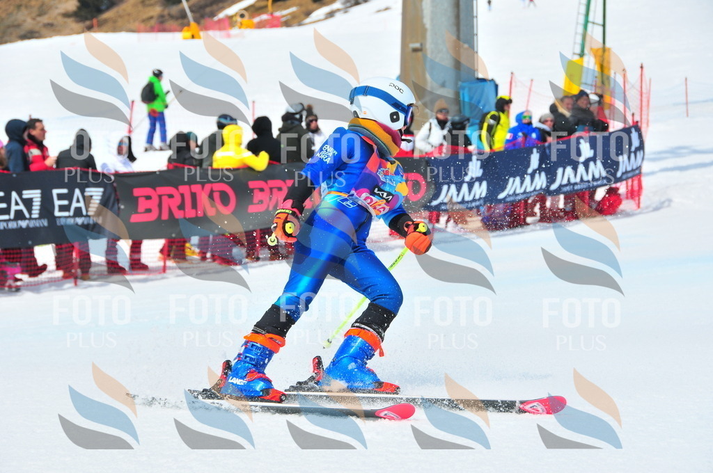 DSC_6141 | holidayphoto