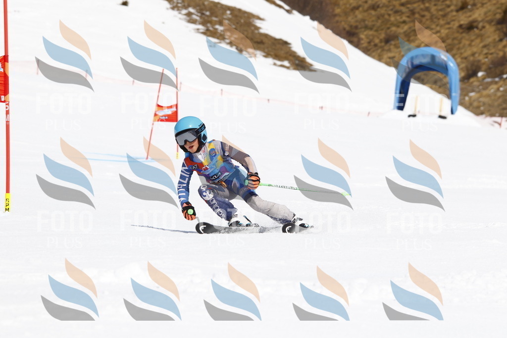 _U3G4395 | holidayphoto