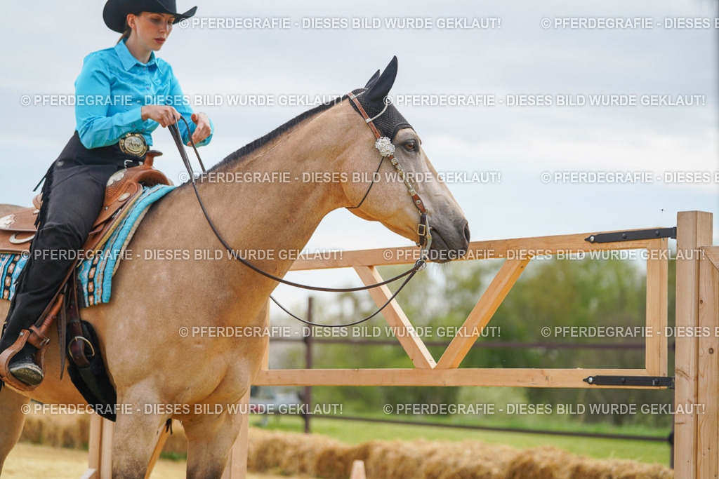 DSC03366 | Pferdegrafie