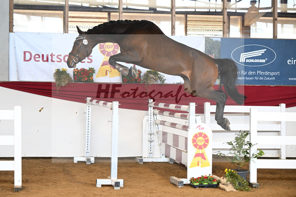 Kat-Nr. 18 Cordessa v. Cordess_Volkert_16250926 | hf-fotografie - Realizzato con Pictrs.com
