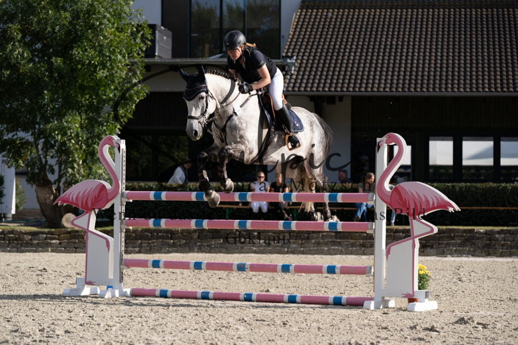 A7V07848 | Pferdefotograf