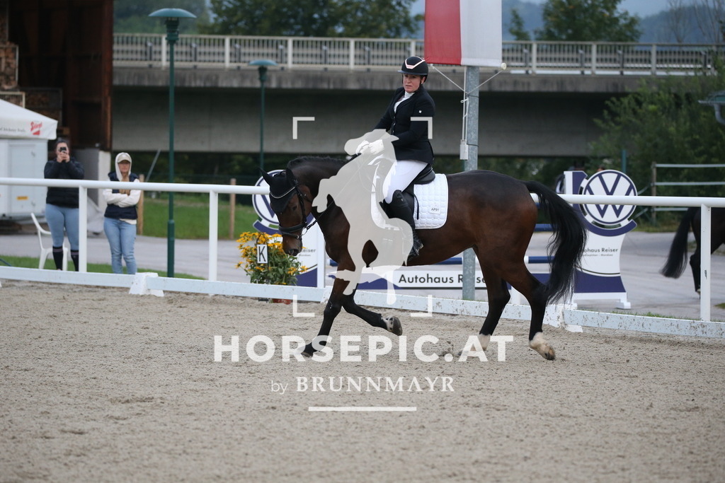 DL2Q1042 | Willkommen bei Brunnmayr - Design & Fotografie – Ihrem Spezialisten für Reitturniere und Pferdeveranstaltungen in Oberösterreich, Salzburg und Bayern! Seit über 17 Jahren sind wir leidenschaftlich dabei.