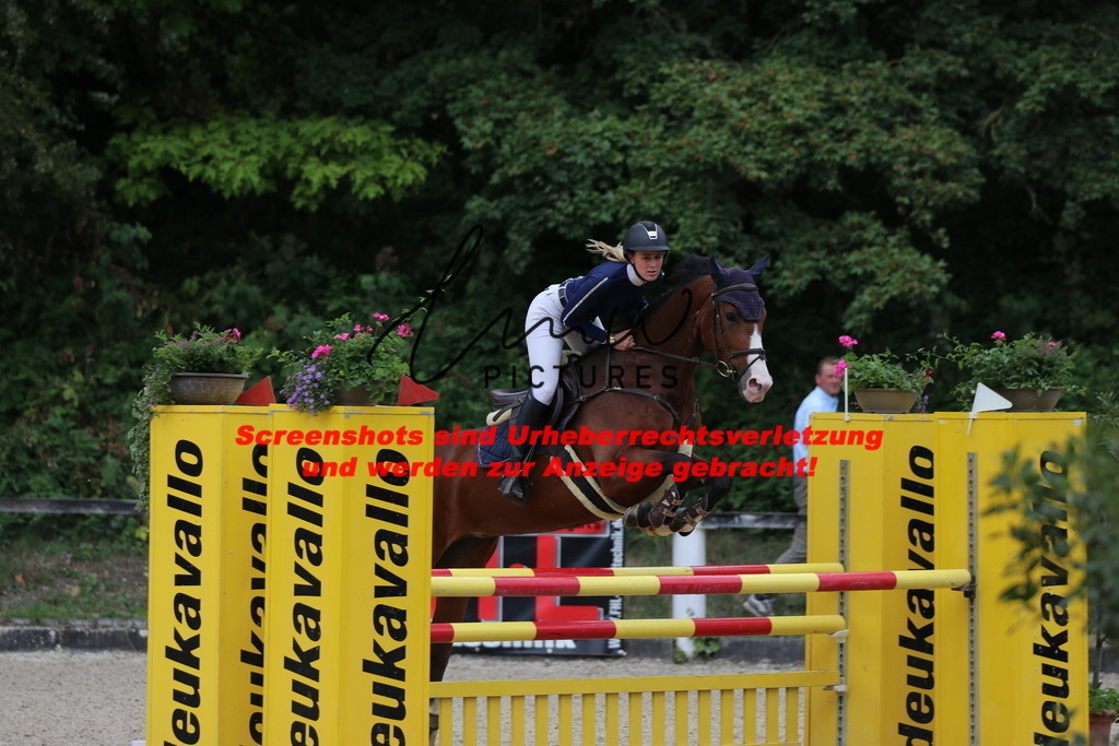 IMG_9941 | lmwpictures - Realisiert mit Pictrs.com