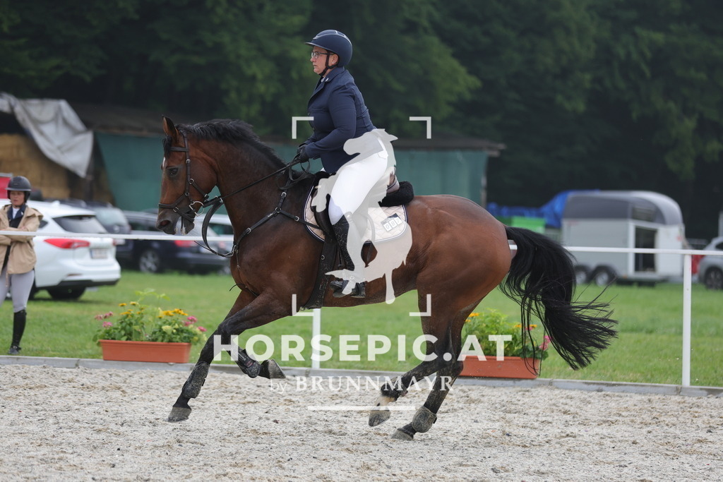 0P6A0075 | Willkommen bei Brunnmayr - Design & Fotografie – Ihrem Spezialisten für Reitturniere und Pferdeveranstaltungen in Oberösterreich, Salzburg und Bayern! Seit über 17 Jahren sind wir leidenschaftlich dabei.