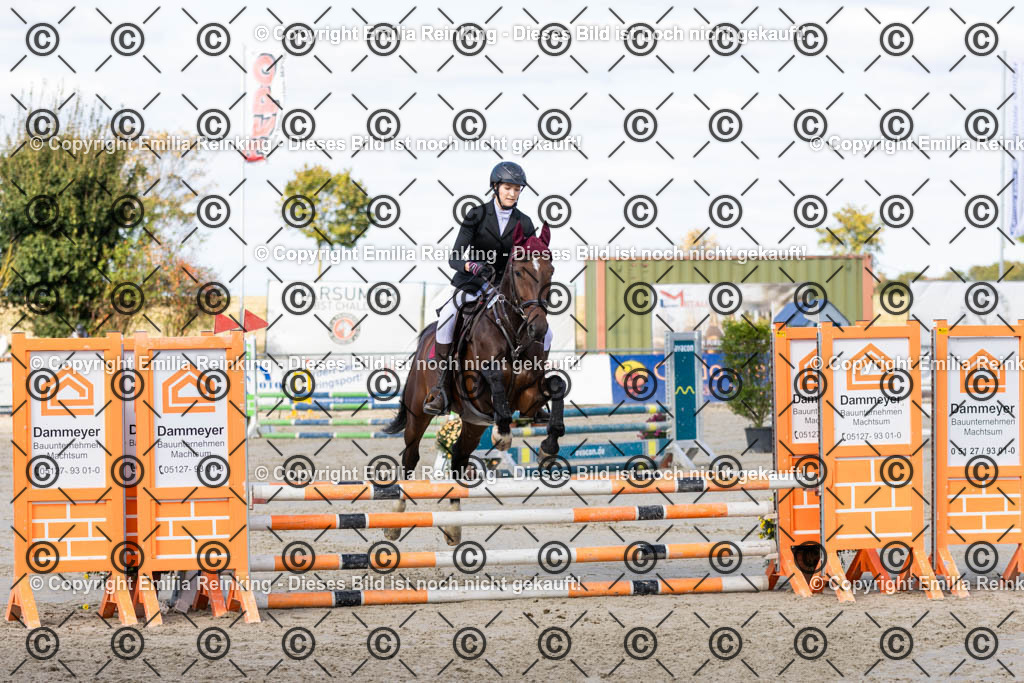 CL5A4149 | Emilia Reinking Fotografie - Realisiert mit Pictrs.com