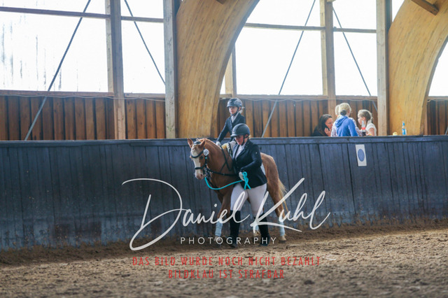 IMG_1279 | Turniersportfotografie; Pferdefotografie; Dressurfotografie