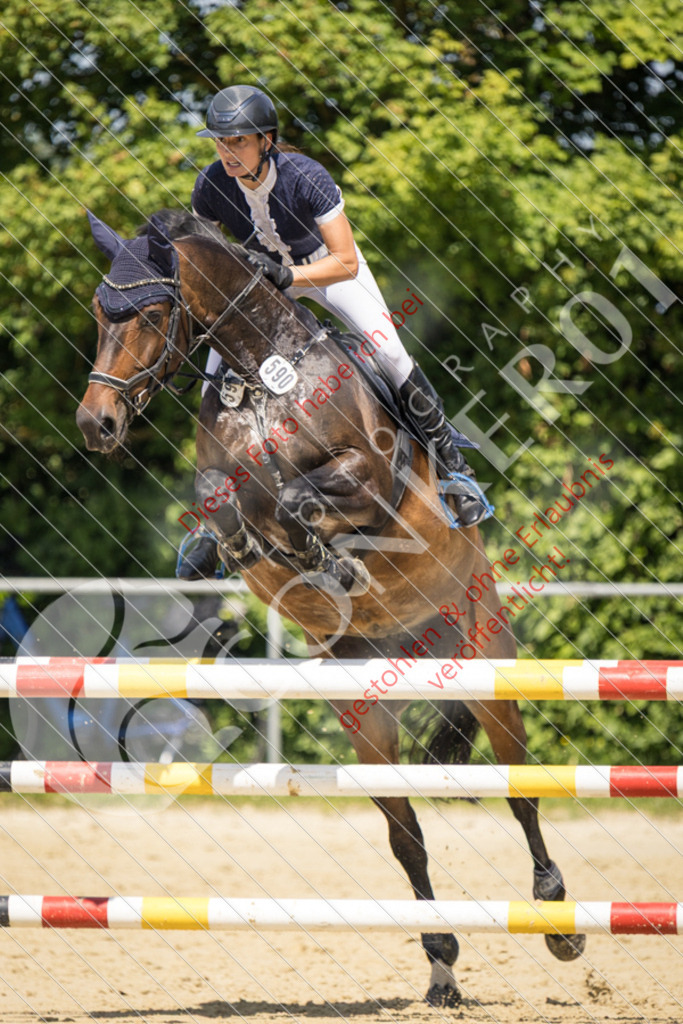 IMG_9459 | Sport-, Event- und Tierfotos in Profiqualität. Einfach auswählen, bestellen und herunterladen. Dein Moment – perfekt festgehalten.