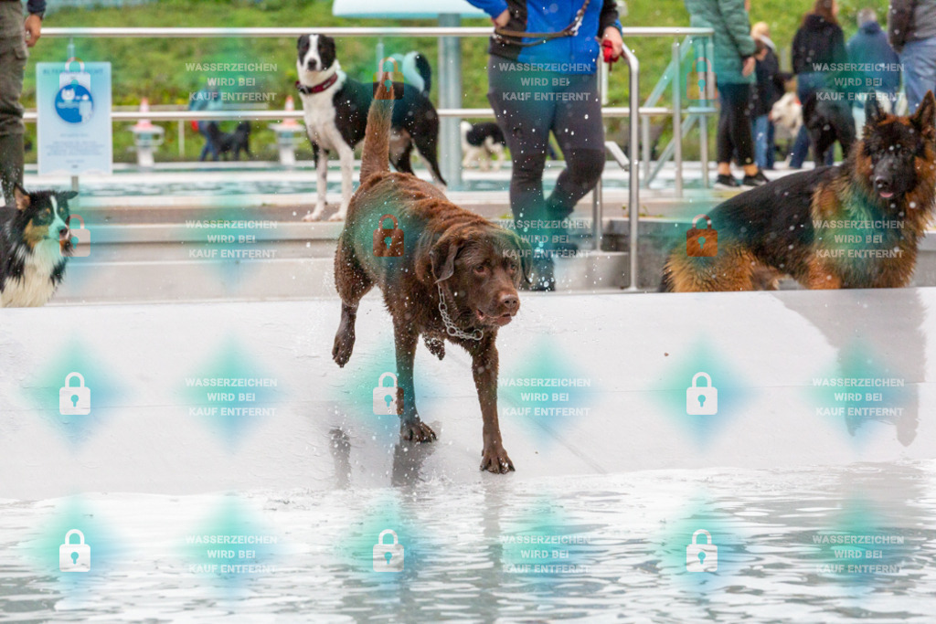 _HP_7449_1000o | HetPix, HetPix Fotodesign, Fotografie, Fotodesign, Webshop, Sportfotografie, Portraitfotografie, Onlineshop, Sportfotografie, Polch, Motorsportfotografie, Eventfotografie