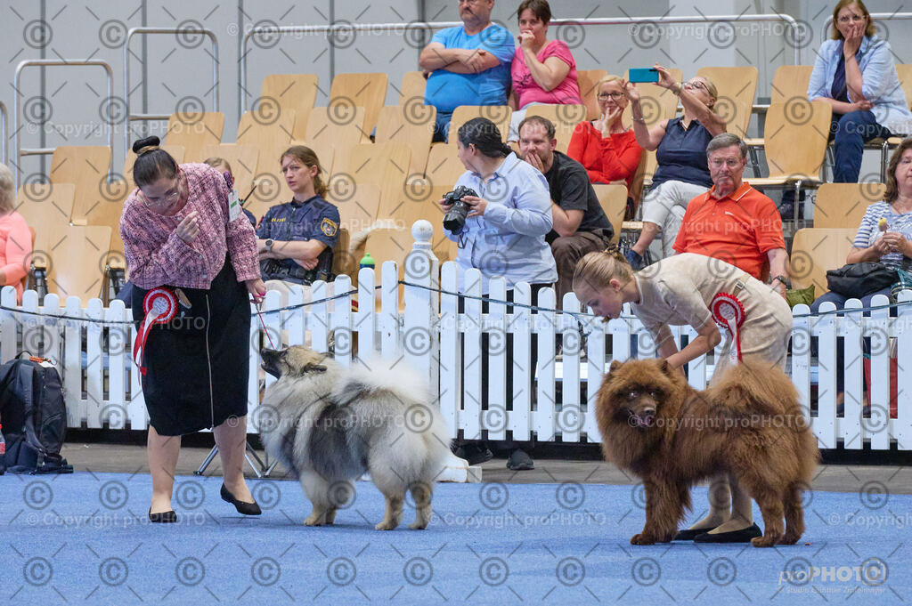 202406_ÖKV-IHA-Tulln24_DSC_5011 | proPHOTO - Realisiert mit Pictrs.com