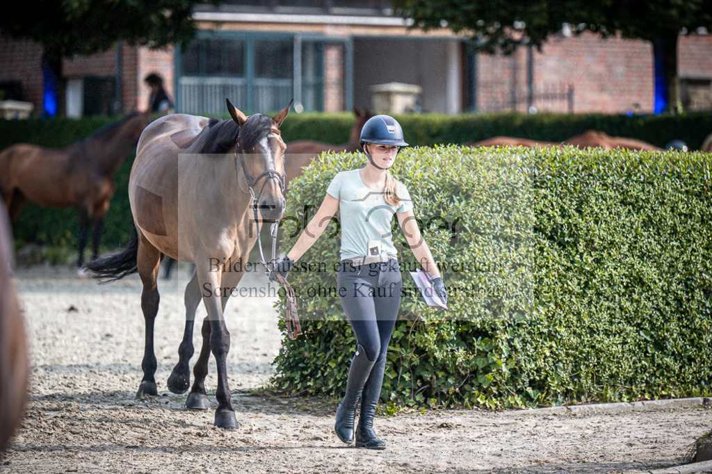 DOS_2586 | Entdecke hochwertige Reitturnierfotos von Foto Oger. Professionell, emotional und authentisch – jetzt Lieblingsmomente im Shop bestellen.Deutschlandweite Turnierfotografie. - Realisiert mit Pictrs.com