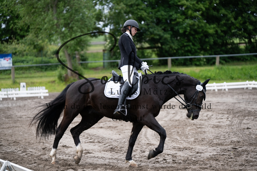 A7V03743 | Pferdefotograf