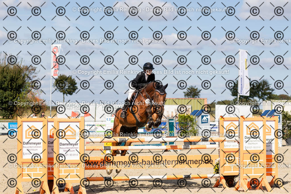 CL5A4038 | Emilia Reinking Fotografie - Realisiert mit Pictrs.com