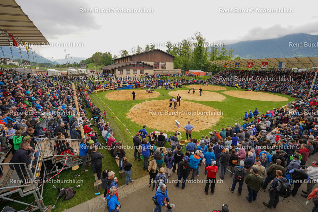20220508-DSC05331 (2)-2 | René Burch leidenschaftlicher Fotograf aus Kerns in Obwalden.  Hier finden sie Sport, Landschaft und Natur Fotografie.
 - Realisiert mit Pictrs.com