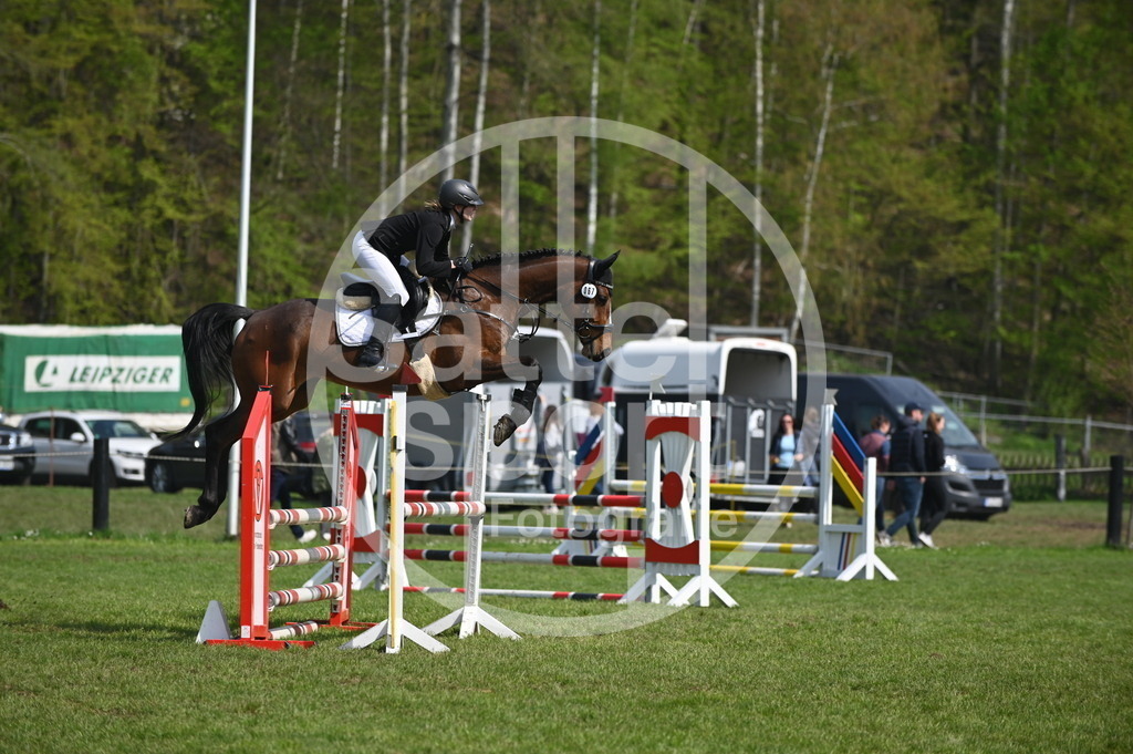 DSC_1216 | sattelsport - Realisiert mit Pictrs.com