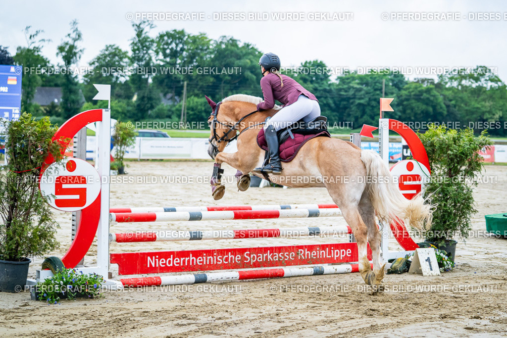 DSC01097 | Pferdegrafie