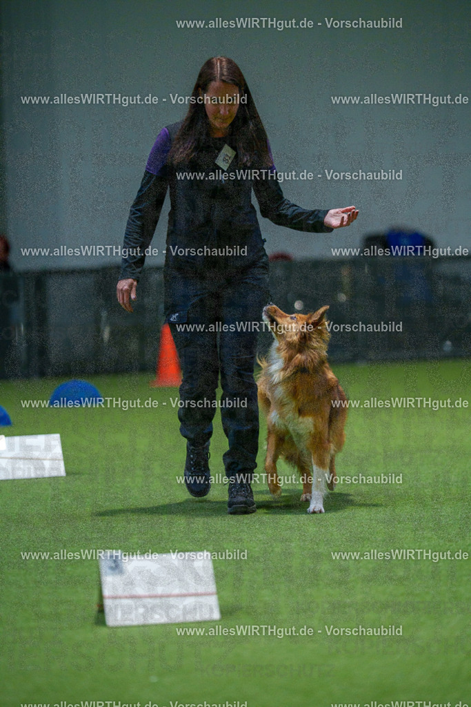 7R507726 | Professionelle Tierfotografie in Mönchengladbach von Daniel Wirth (allesWIRTHgut). Liebevolle & natürliche Bilder von Hunden & Katzen für unvergessliche Erinnerungen.