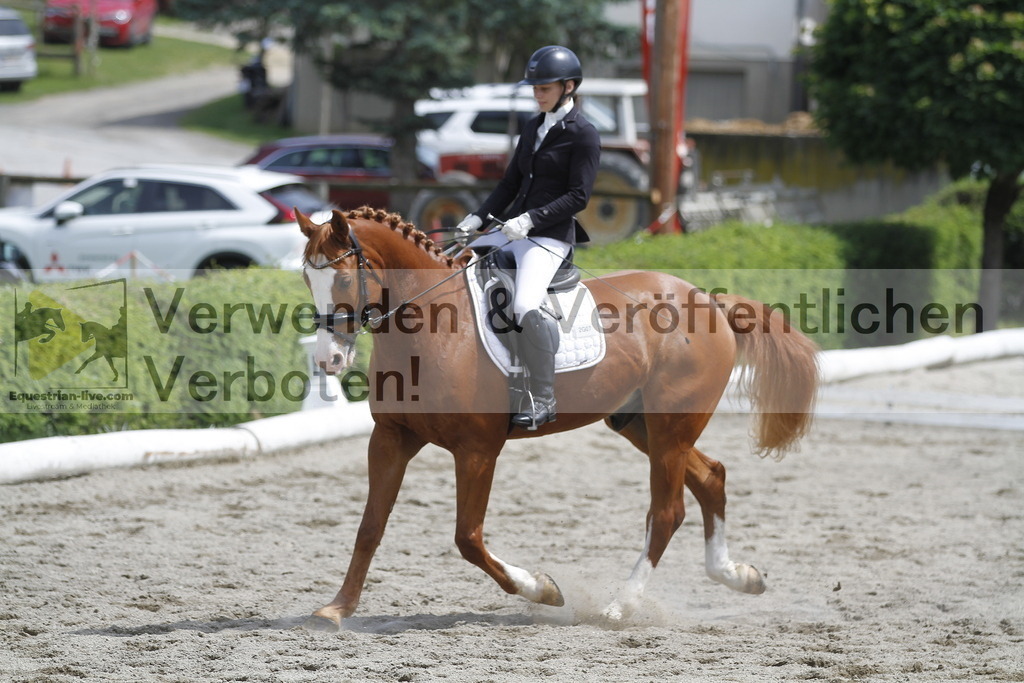 _MG_8654 | equestrian-live-com