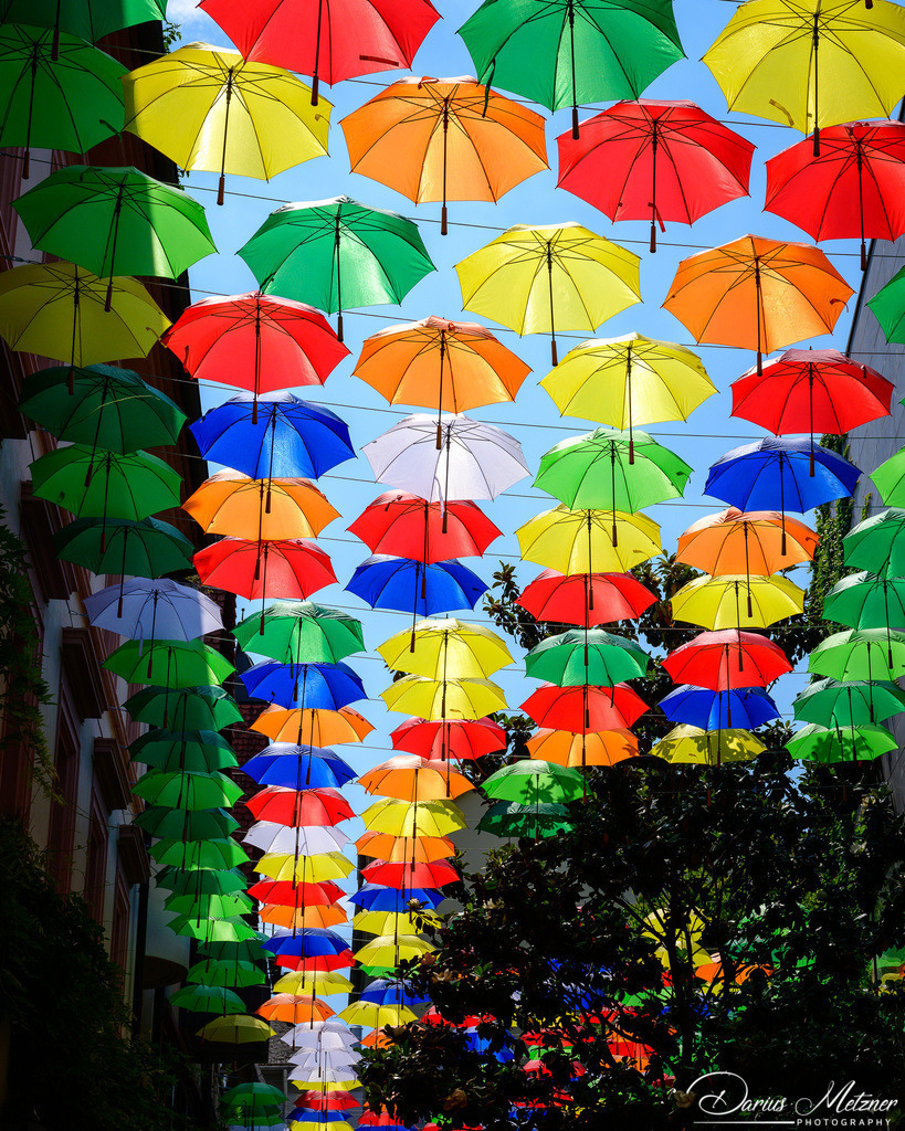 Umbrella Sky Projekt in Mainz in der Rotkopfgasse | Umbrella Sky Projekt in Mainz in der Rotkopfgasse
