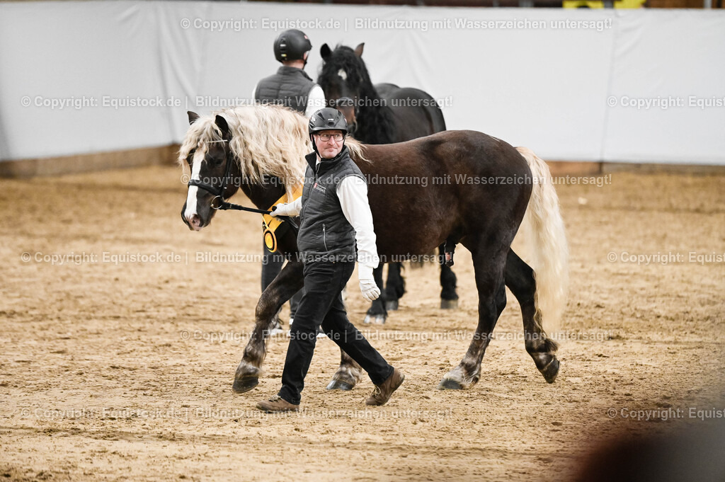 20260307_Hengstvorstellung-Marbach_0261 | equistock